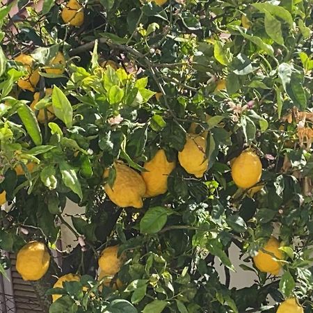 Casa Ninuccia Panzió Corbara  Kültér fotó